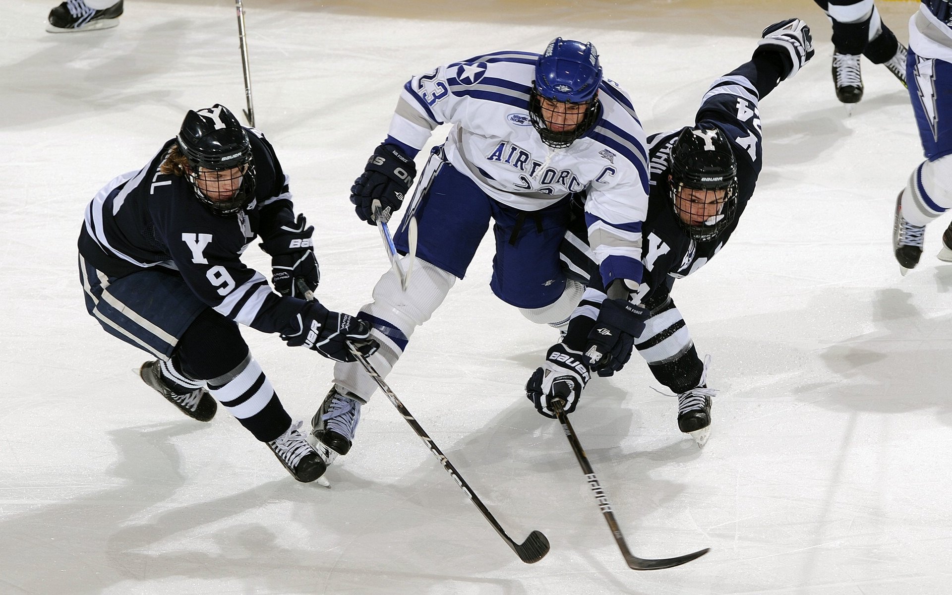 跨洲体育盛事，湖人决战灰熊晋级，锡安欧冠淘汰赛独领风骚